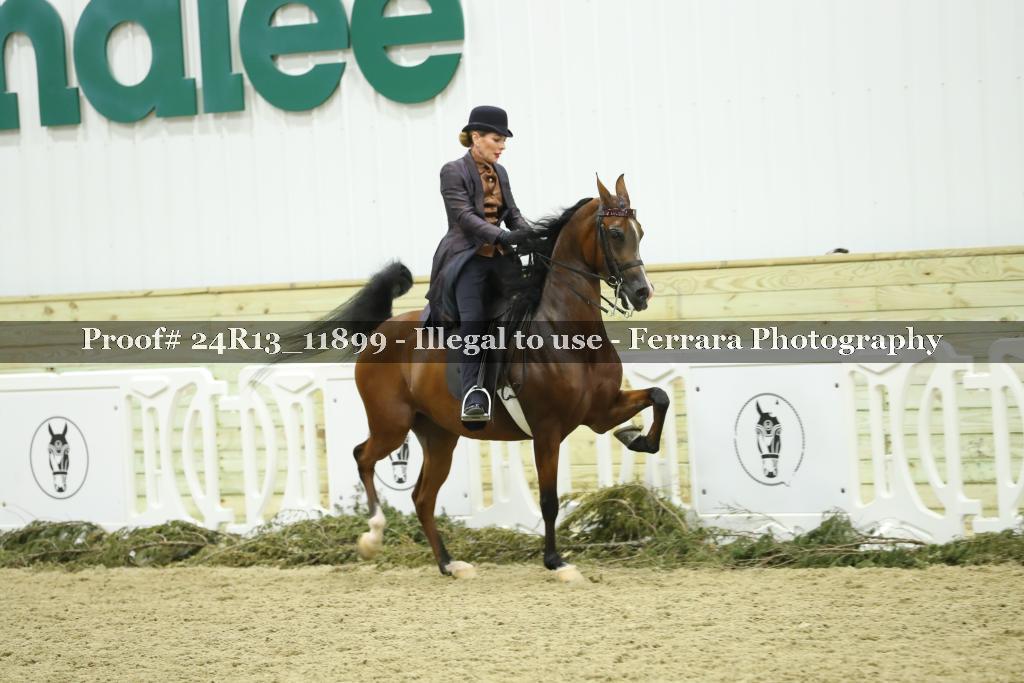 Proof 24R13_11899