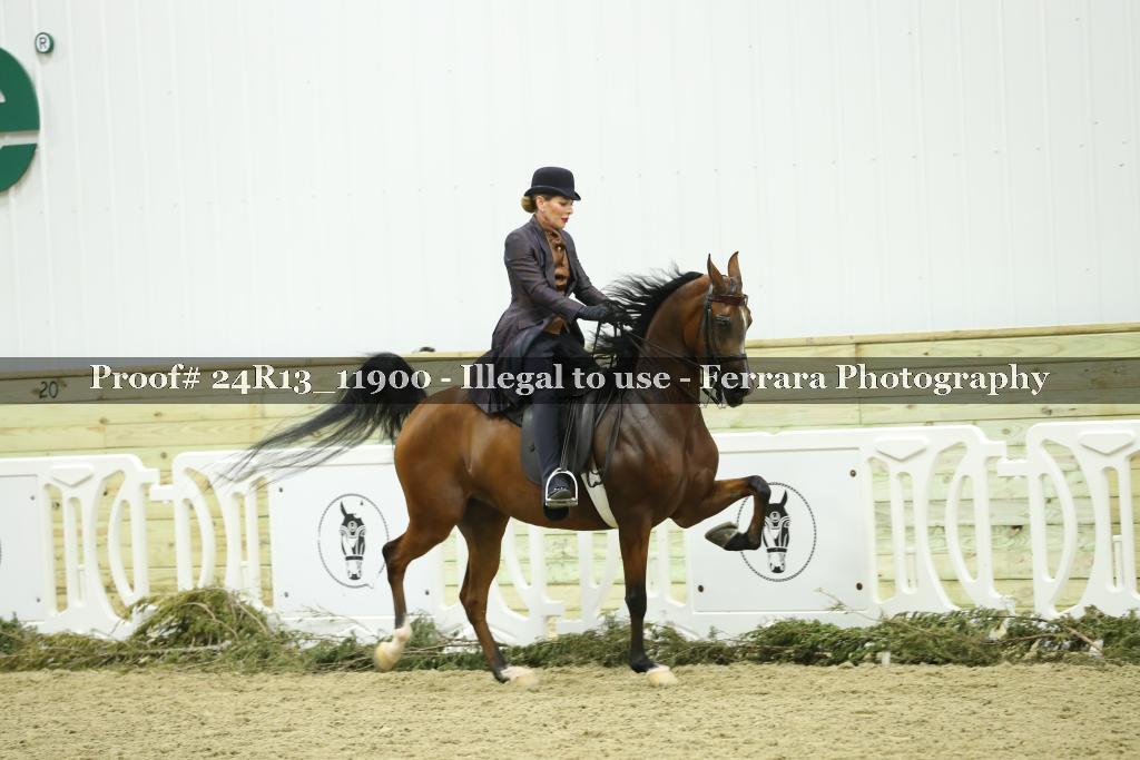 Proof 24R13_11900