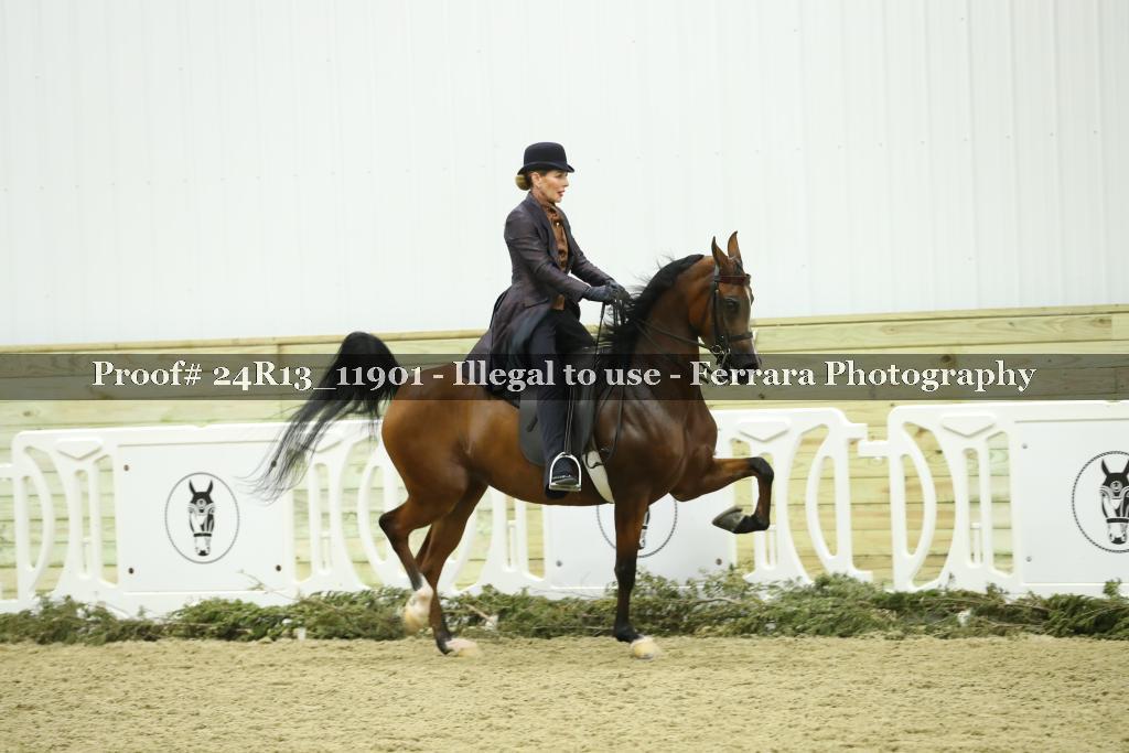 Proof 24R13_11901