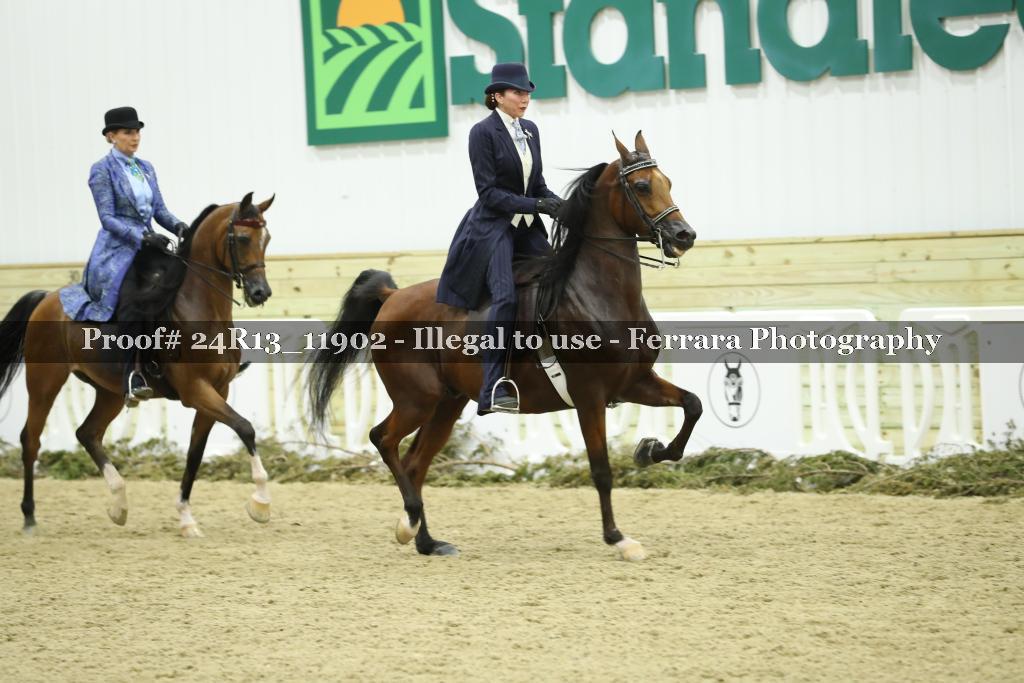 Proof 24R13_11902