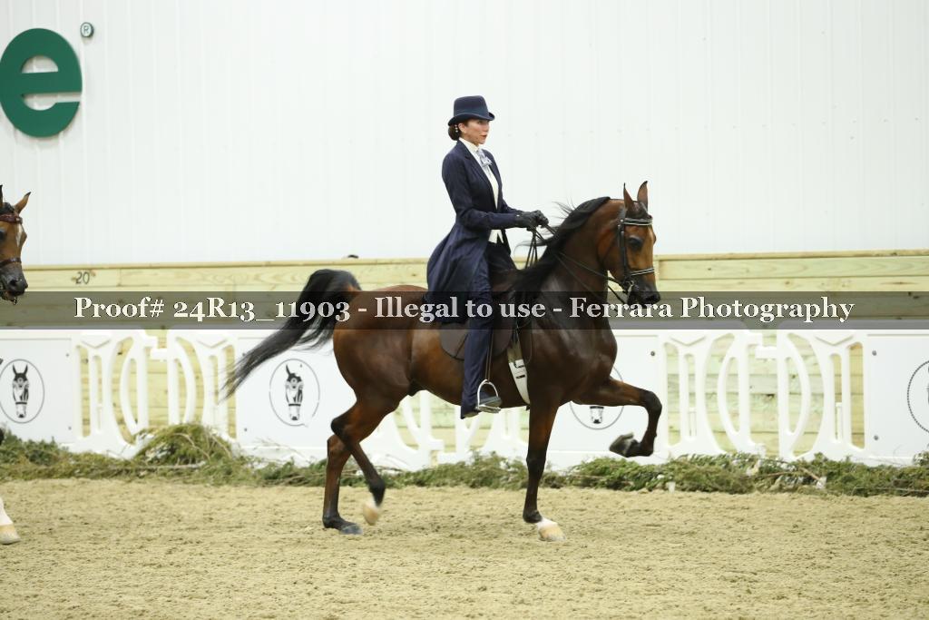 Proof 24R13_11903