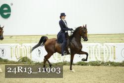 24R13_11903 proof