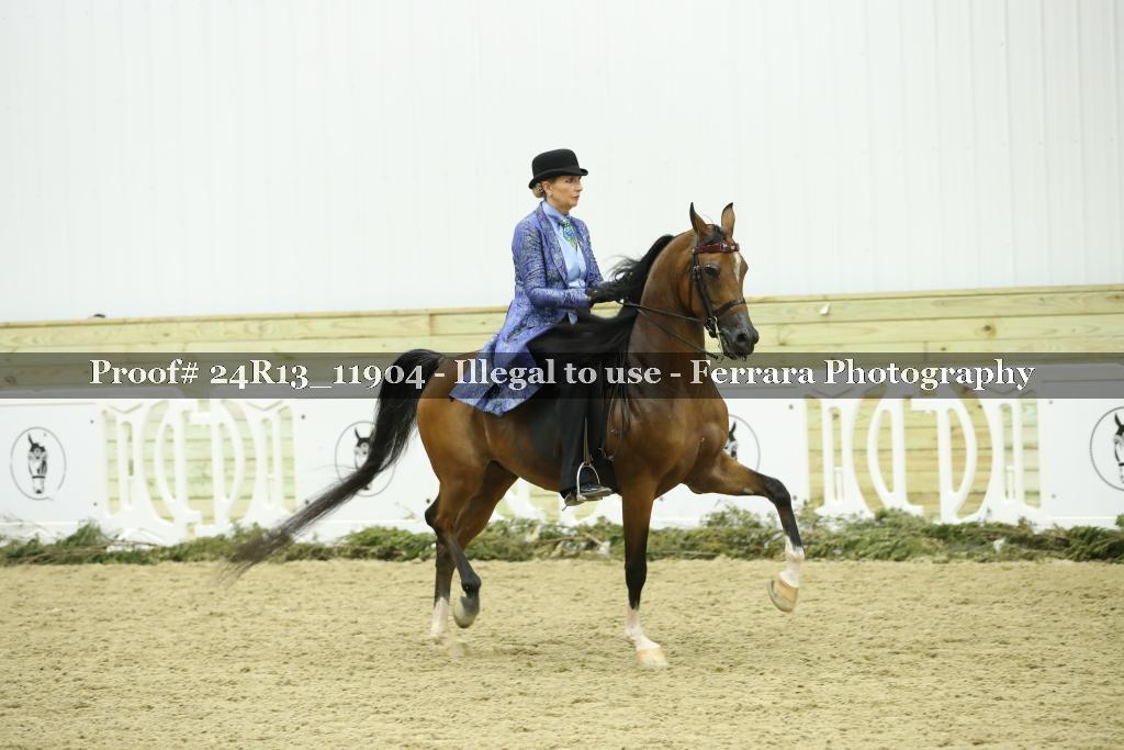 Proof 24R13_11904