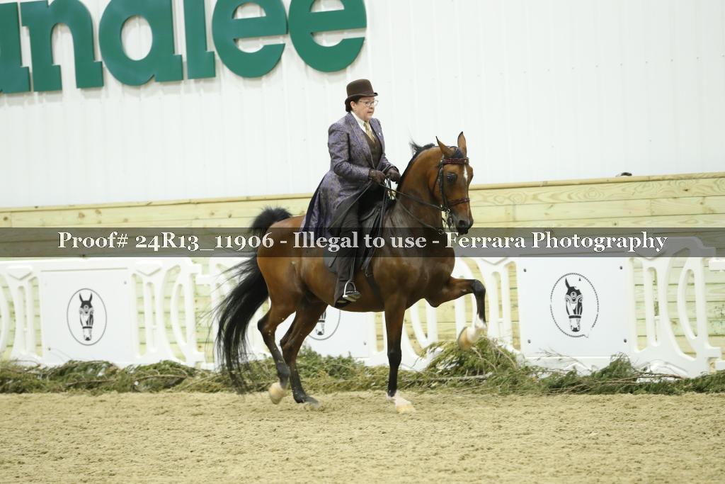 Proof 24R13_11906