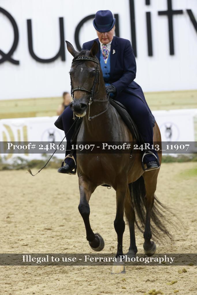 Proof 24R13_11907