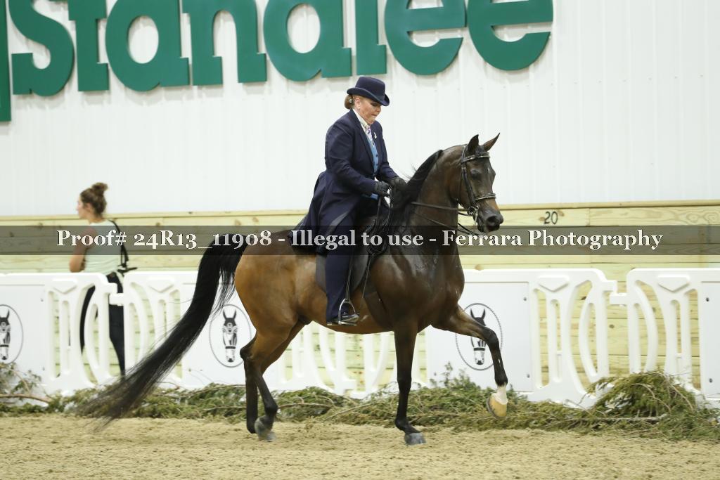 Proof 24R13_11908