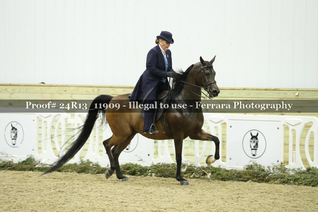 Proof 24R13_11909