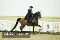 24R13_11909 proof