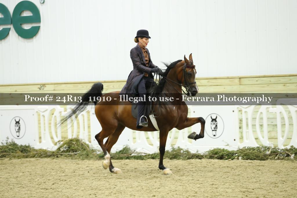 Proof 24R13_11910