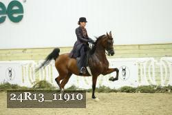 24R13_11910 proof
