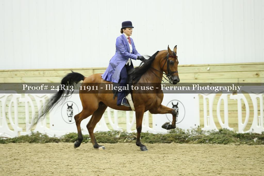 Proof 24R13_11911