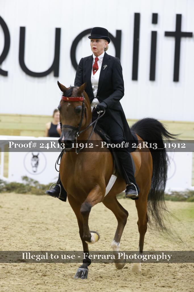 Proof 24R13_11912