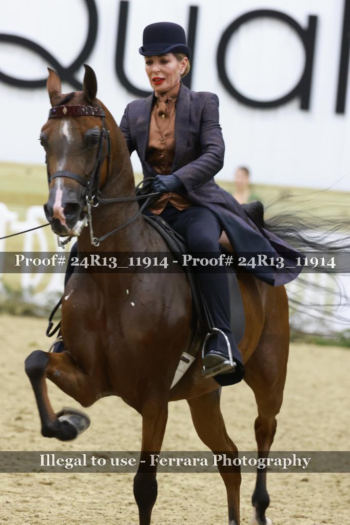 Proof 24R13_11914