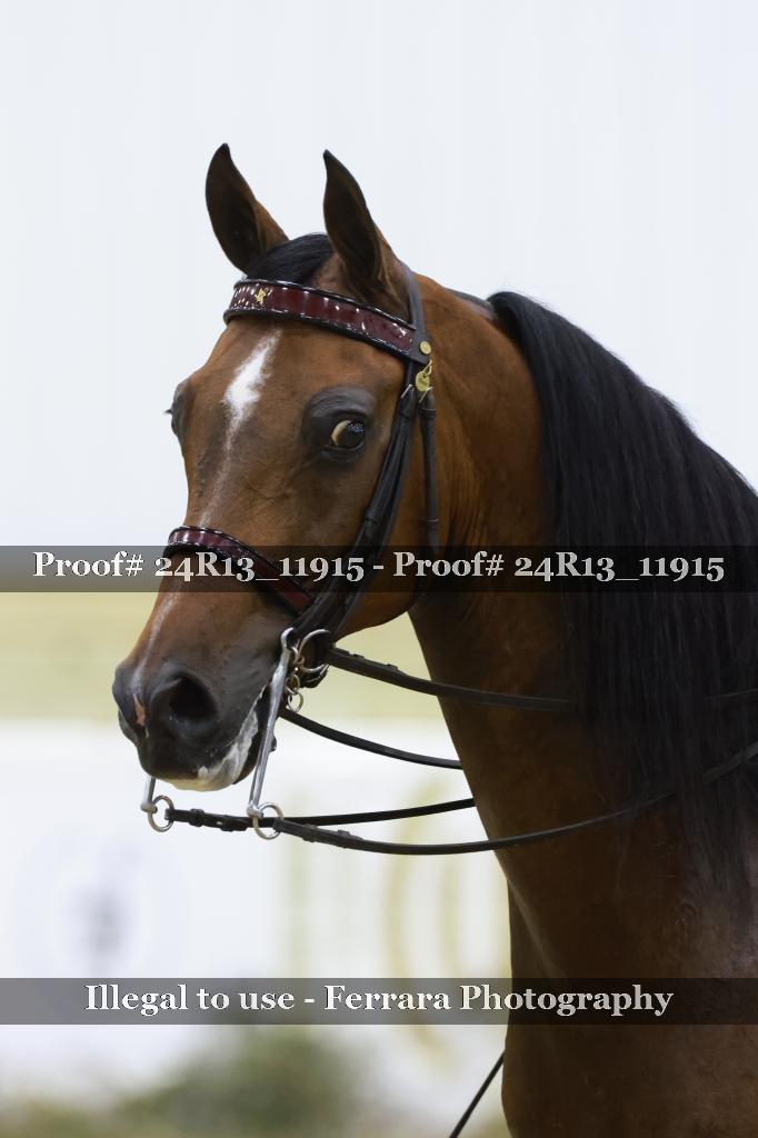 Proof 24R13_11915