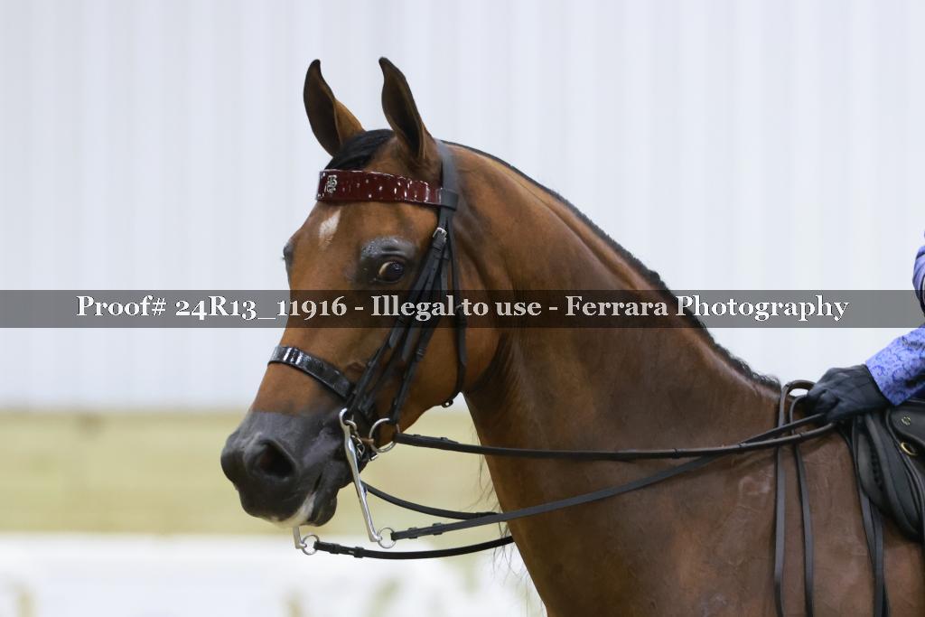 Proof 24R13_11916
