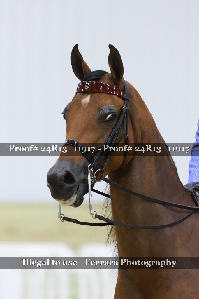 Proof 24R13_11917