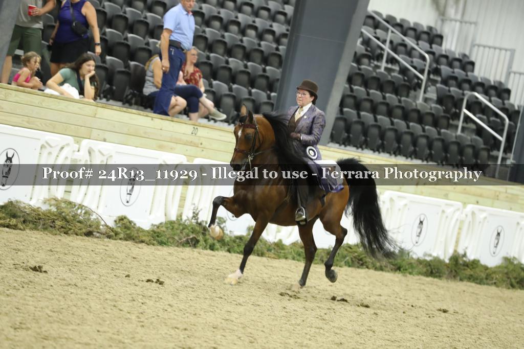 Proof 24R13_11929