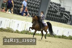 24R13_11929 proof