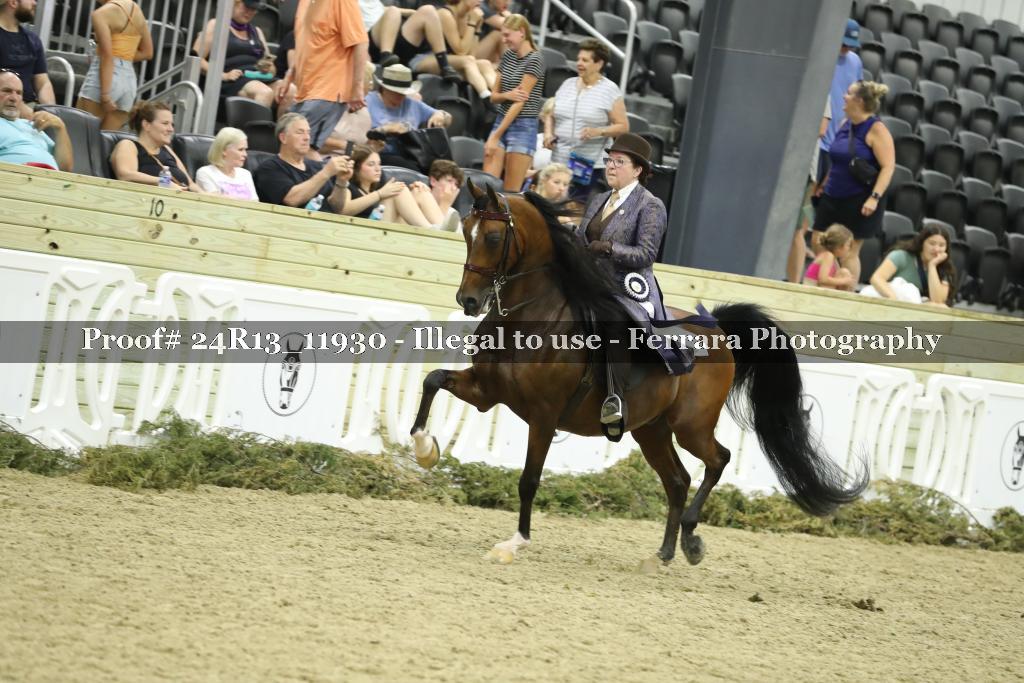 Proof 24R13_11930