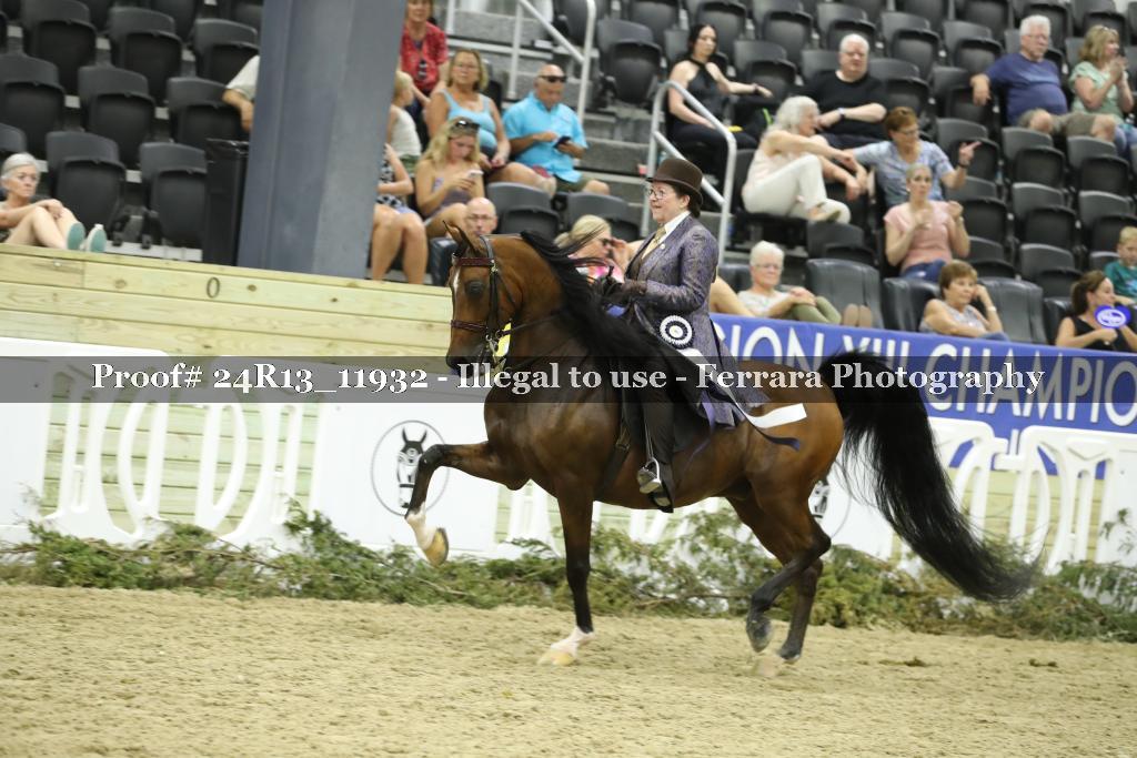 Proof 24R13_11932