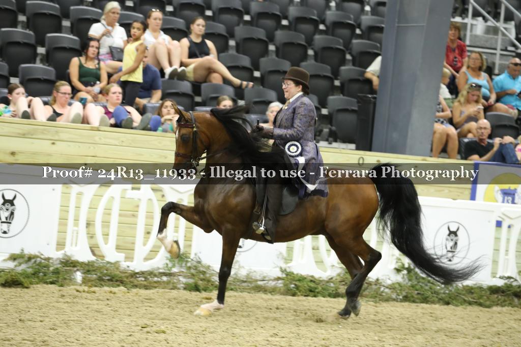 Proof 24R13_11933