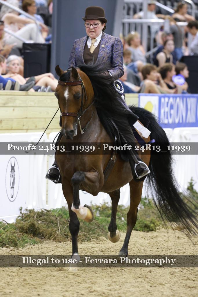 Proof 24R13_11939