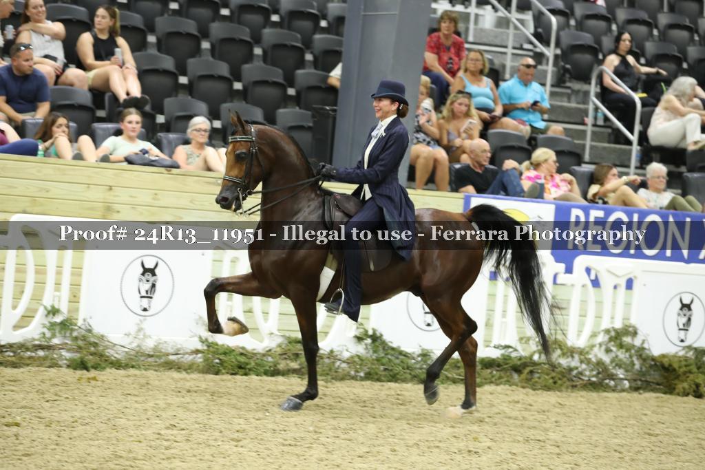 Proof 24R13_11951
