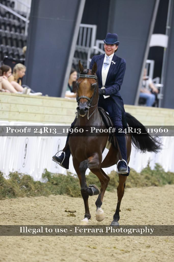 Proof 24R13_11960