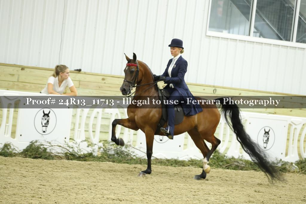Proof 24R13_11713