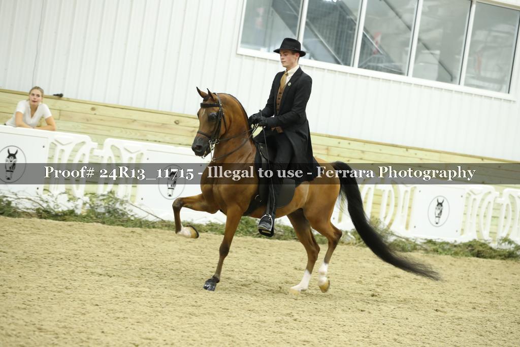 Proof 24R13_11715