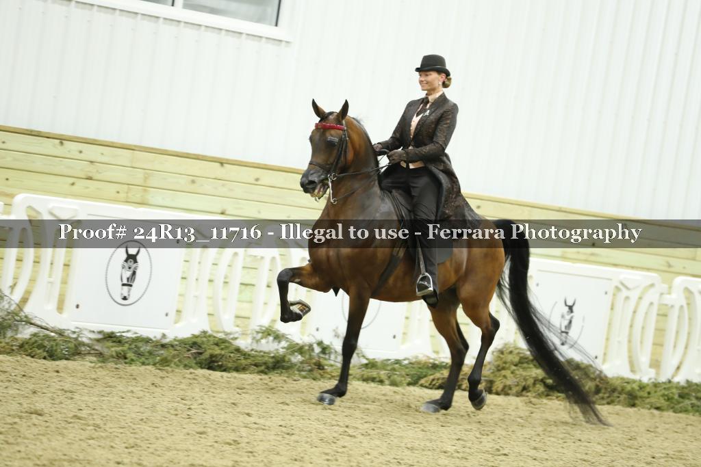 Proof 24R13_11716