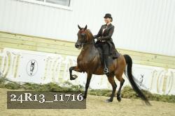 24R13_11716 proof