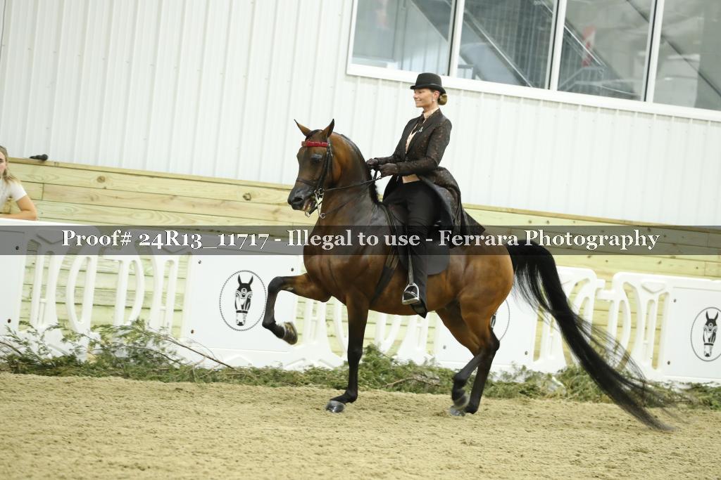 Proof 24R13_11717