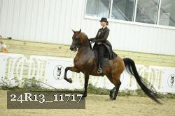 24R13_11717 proof