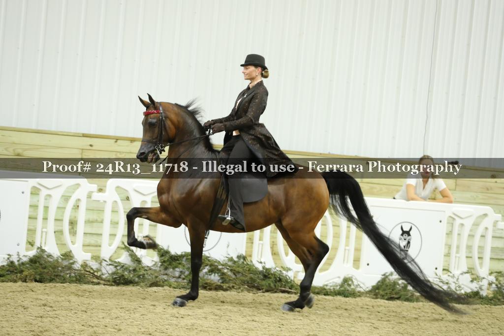 Proof 24R13_11718