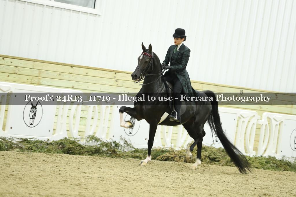 Proof 24R13_11719