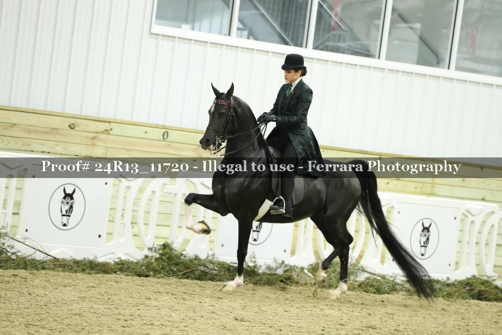 Proof 24R13_11720