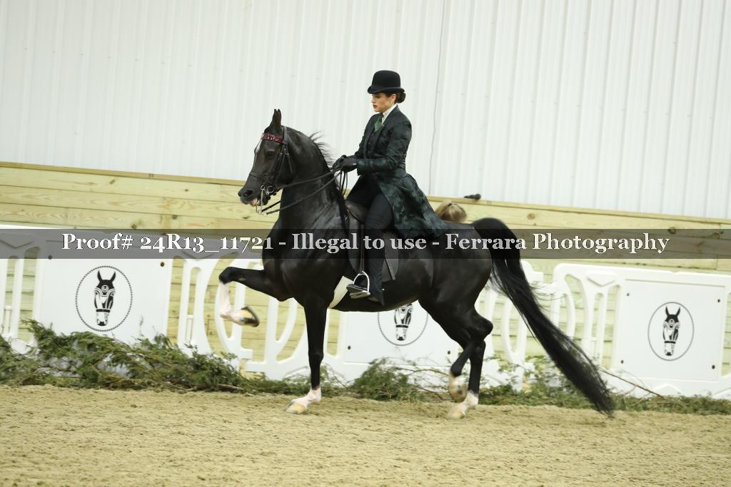Proof 24R13_11721