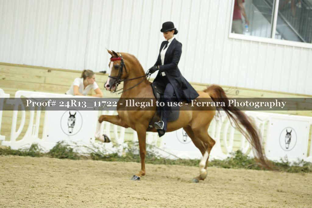Proof 24R13_11722