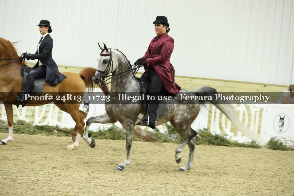 Proof 24R13_11723