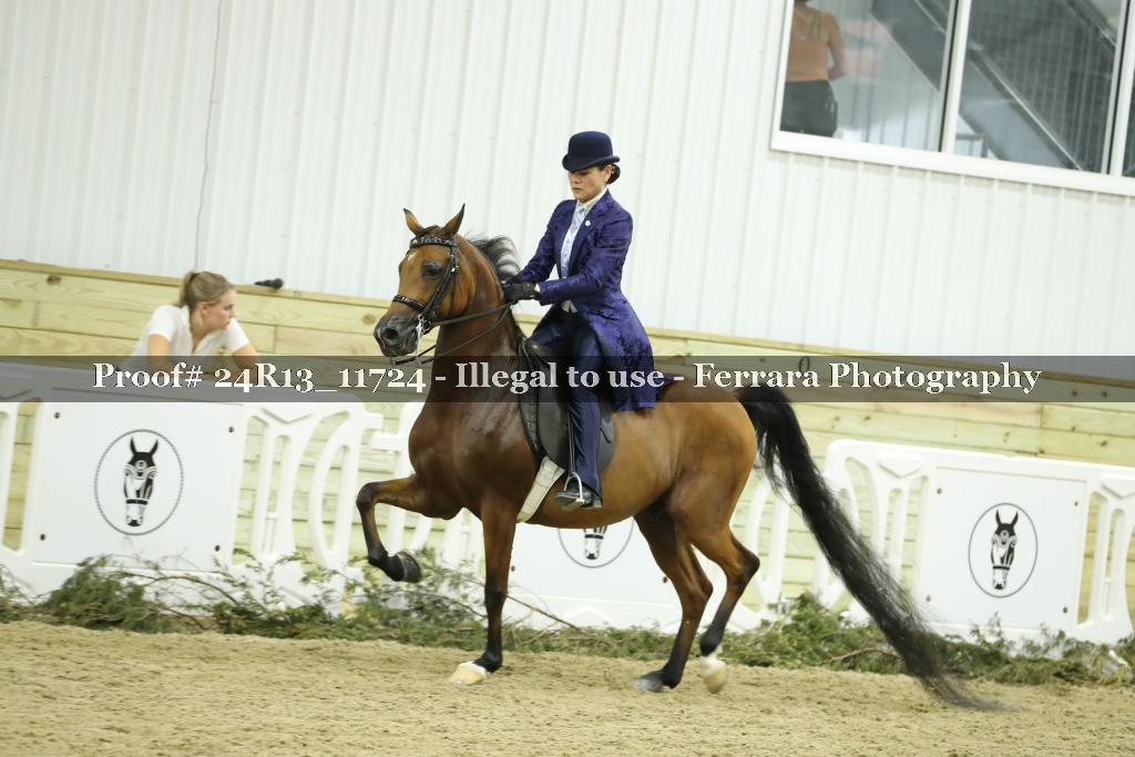 Proof 24R13_11724