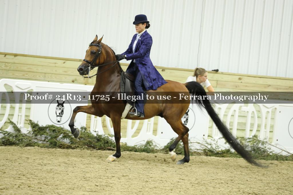 Proof 24R13_11725