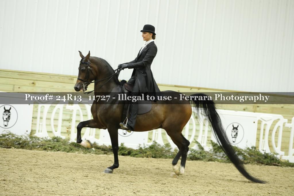 Proof 24R13_11727