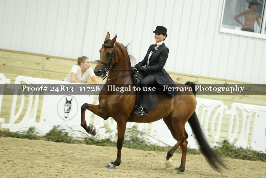 Proof 24R13_11728