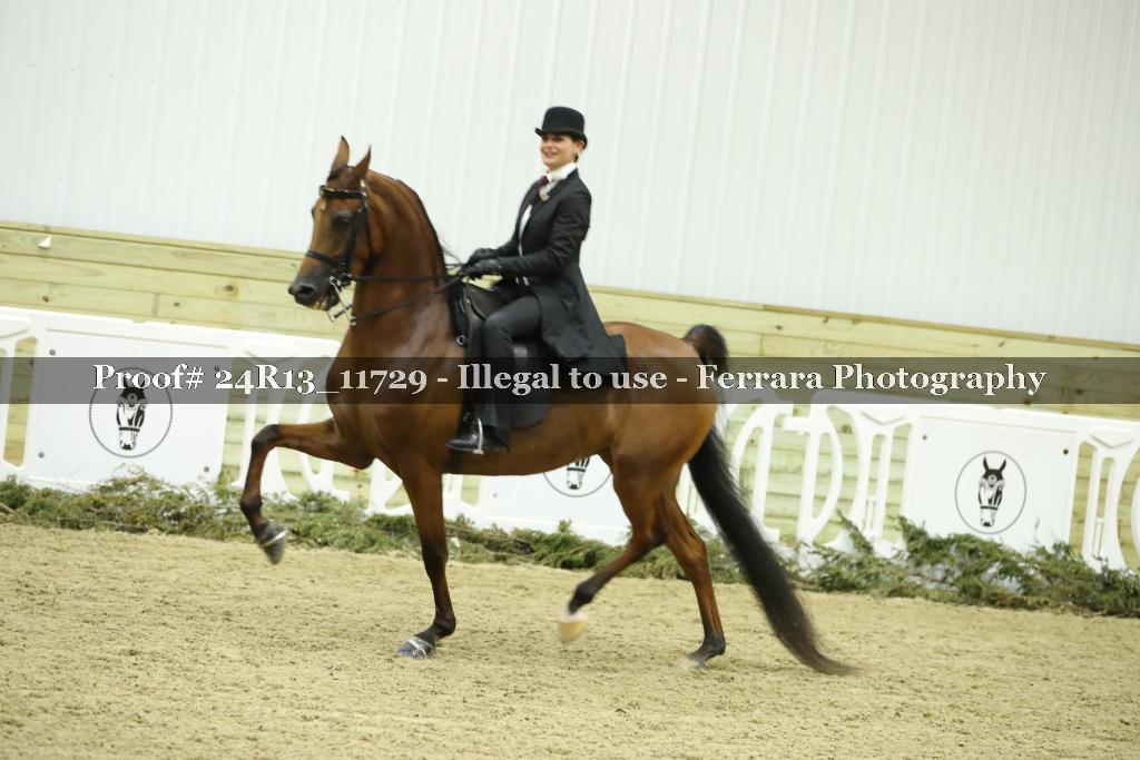 Proof 24R13_11729