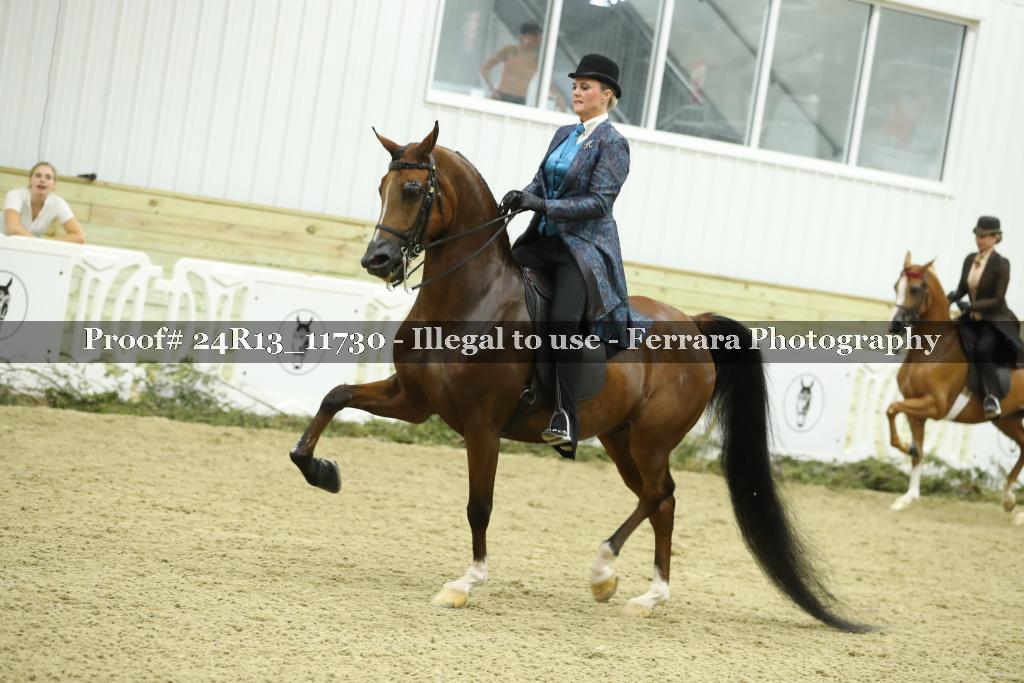 Proof 24R13_11730