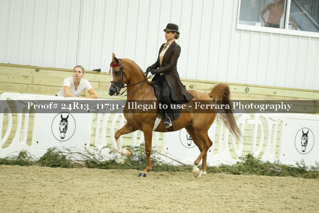 Proof 24R13_11731