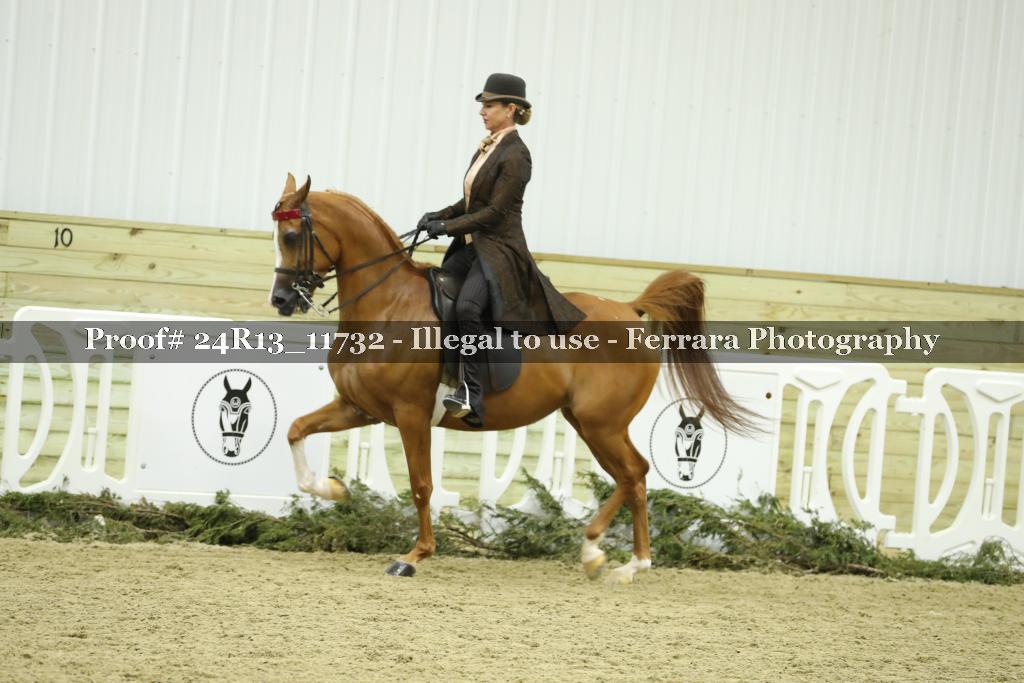 Proof 24R13_11732