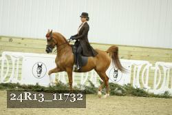 24R13_11732 proof