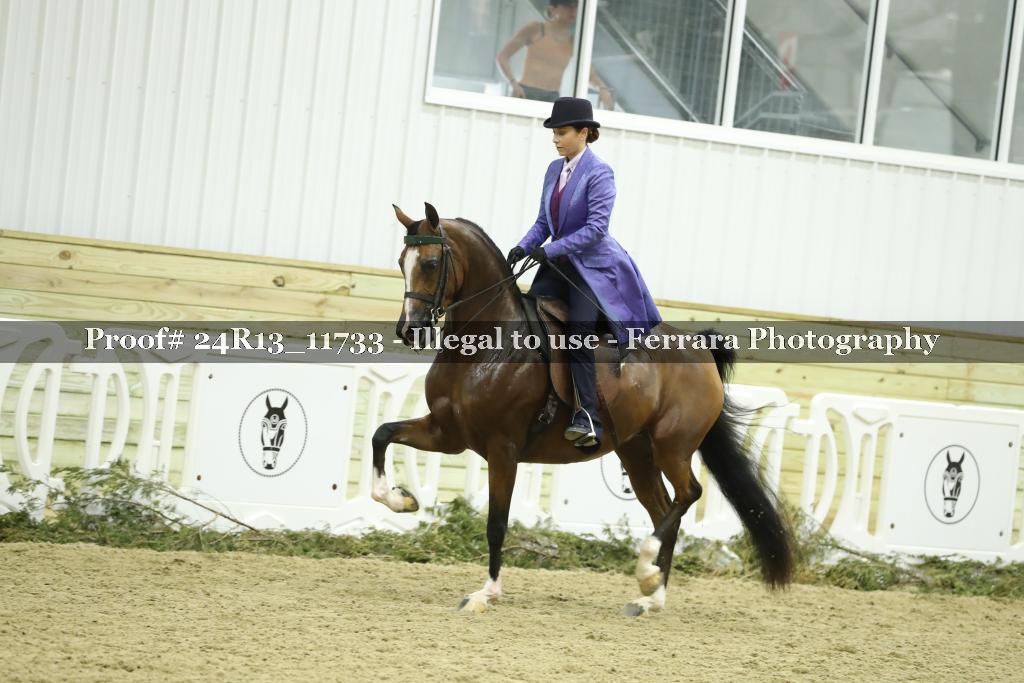 Proof 24R13_11733